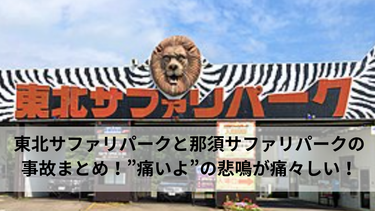 東北サファリパークと那須サファリパークの事故まとめ！”痛いよ”の悲鳴が痛々しい！