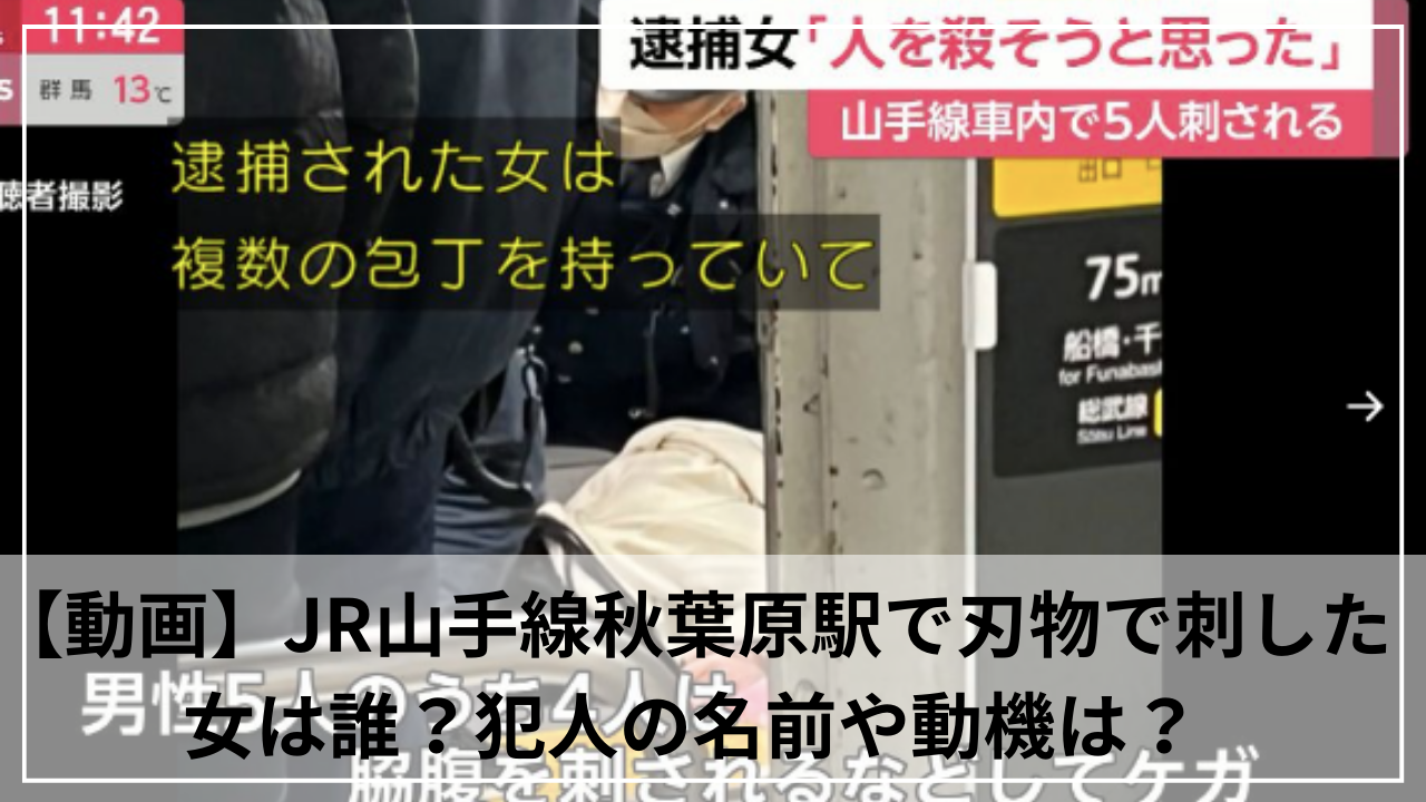 【動画】JR山手線秋葉原駅で刃物で刺した女は誰？犯人の名前や動機は？